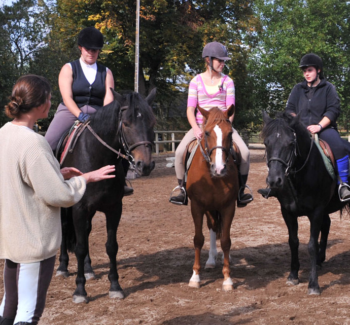 4ème-3ème-orientation-metiers-cheval